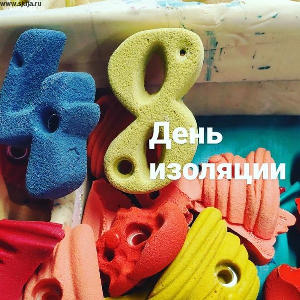 48 день изоляции прошел успешно в рабочем режиме #изоляция #работа