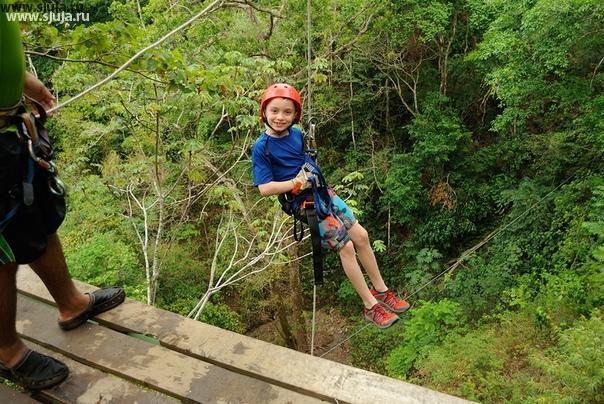 Если вы хотите установить Zip line тарзанку на даче, обращайтесь в компанию скалодромы жужа. У нас есть разные варианты, для разного веса для разных расстояний между опорами. Что позволит вам понять то на сколько можно сэкономить при выборе канатной дороге на дачу от компании скалодромы жужа. Доставка по всей России, оплата как от юрлица так от физлиц принимается нами. Мы работаем с НДС.
#тарзанка #купитьтарзанку #парк #атракционы #аренда #впарке #надереве #роллей #зиплайн #гдекупитьтарзанку #каквыбратьтарзанку #тарзанкадлядетей #тарзанканадачу
