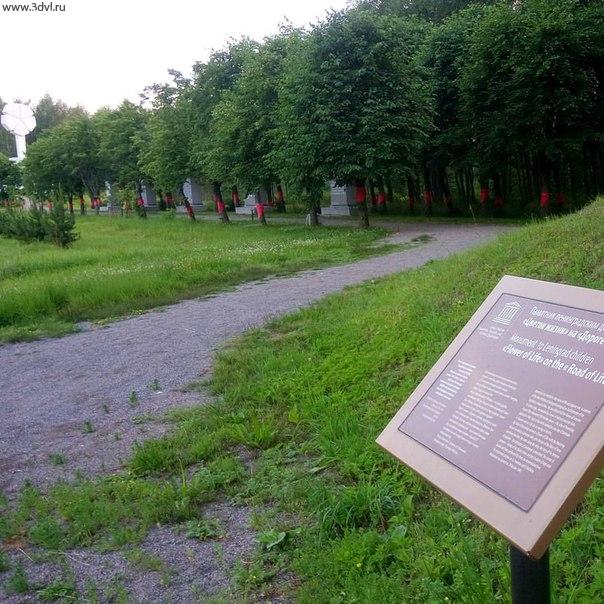 Мы на месте памяти, Мемориал Цветок жизни #мемориал #ленобласть #цветокжизни #дорогажизни #война #4145 #питер #память @ Цветок Жизни