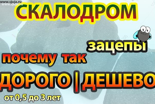 Почему дорого или дешево цена на скалодром зацепы. Многие потребители не понимают Каким образом формируется цена при изготовлении скалодром зацепов, в связи с этим мы снимаем видео рассказывающее о том Каким образом это происходит, и как приобретение сырья необходимого для изготовления зацепов, влияет на стоимость готовой продукции. Данное видео вы можете посмотреть на нашем youtube-канале компания скалодромы Жужа. YouTube.com/sjuja
#скалодромдома #зацепы #скалодромвдом #скалолазание #купитьскалодром #купитьзацепы #купитькамни #купитьхваталки #детская #шведскиестенки