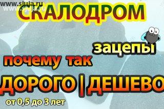 Скалодром зацепы, почему они могут быть дорогие или дешёвые. Мы специально снимаем видео на своём канале YouTube.com/sjuja рассказывающее родителям о всех ньюансах в сфере детских домашних скалодромах. Для нас очень важно чтобы родители при покупке тех или иных развивающих элементов для своего ребёнка понимали, для чего они их покупают, с какой целью и по какой причине. Так как мало кто из радиьелей задаёт вопросы