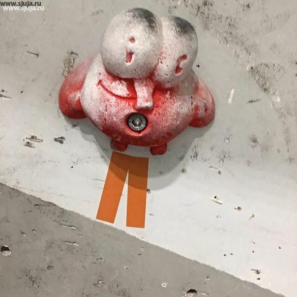 Трудятся зацепы с логотипом Жужи на скалодроме, во всю силу
#сила #логотип #скалодром #жужа #жужка #сжужа #clinbing #holds