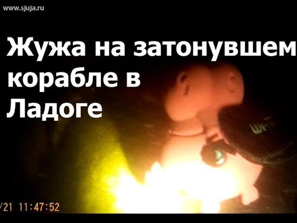 Жужа погружается в холодной воды Ладожского озера. Как как обычно компания скалодромы Жужа поехал на Погружение в Ладожское озеро Ленинградской области, взяла с собой логотип компании, именно самому Жучку. Данный момент на затонувшем судне мы вытащили логотип из кармана и показали о том как наши зацепы могут себя великолепно чувствовать под водой, при высоких давлениях, что подтверждает качество зацепов компании скалодромы Жужа, как увидите Они находятся в воде, что не является для них каким-либо факторам которые влияют на свойства зацепа. #жужа #подводой #дайвинг #погружение #затонувшийкорабль #севастополь #ладога #отдых #скалодром #зацепы #пповерка #прочность #вода #отдых #развлекуха